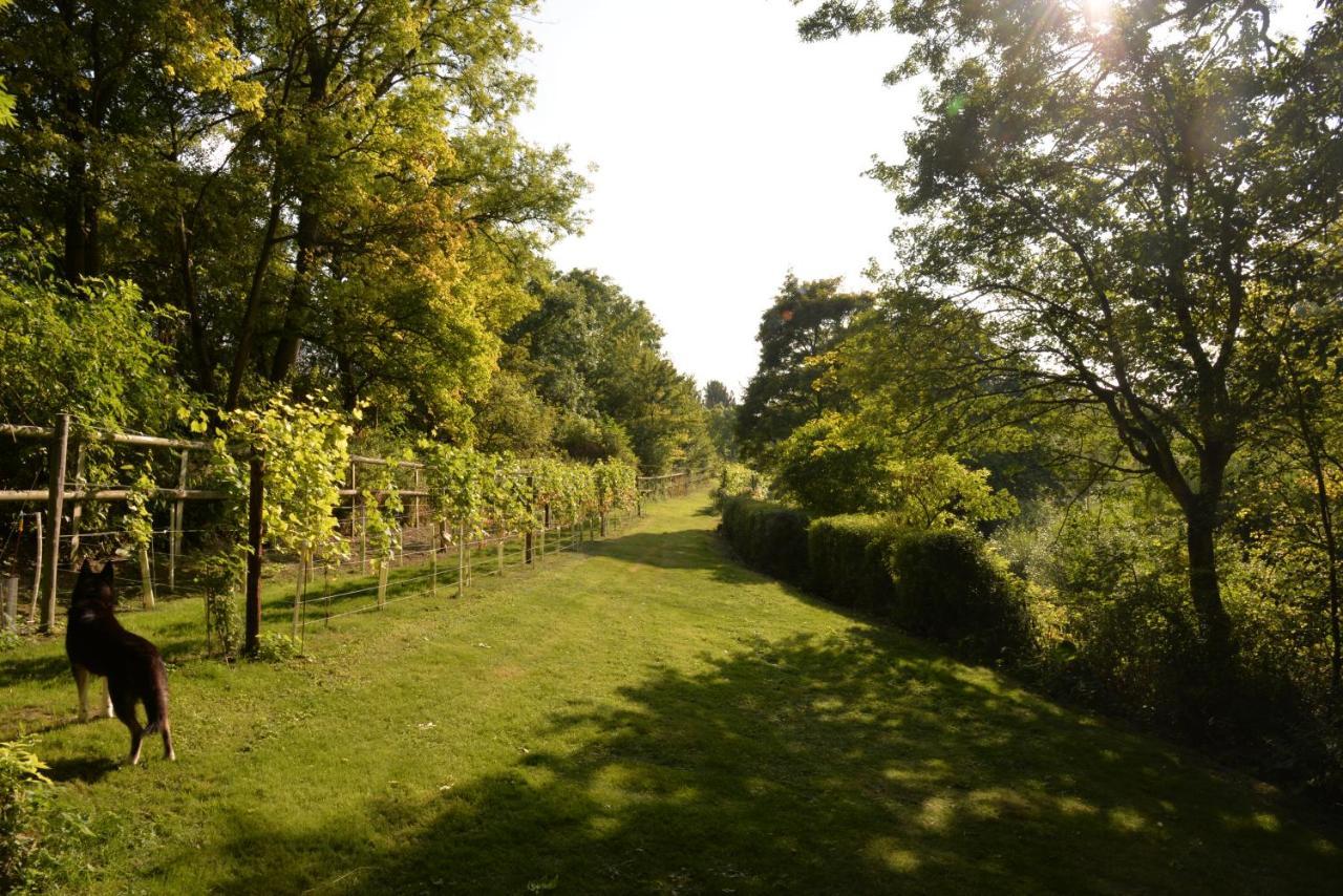 Thatchcombe B&B Wantage Luaran gambar