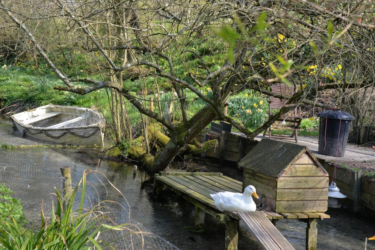Thatchcombe B&B Wantage Luaran gambar